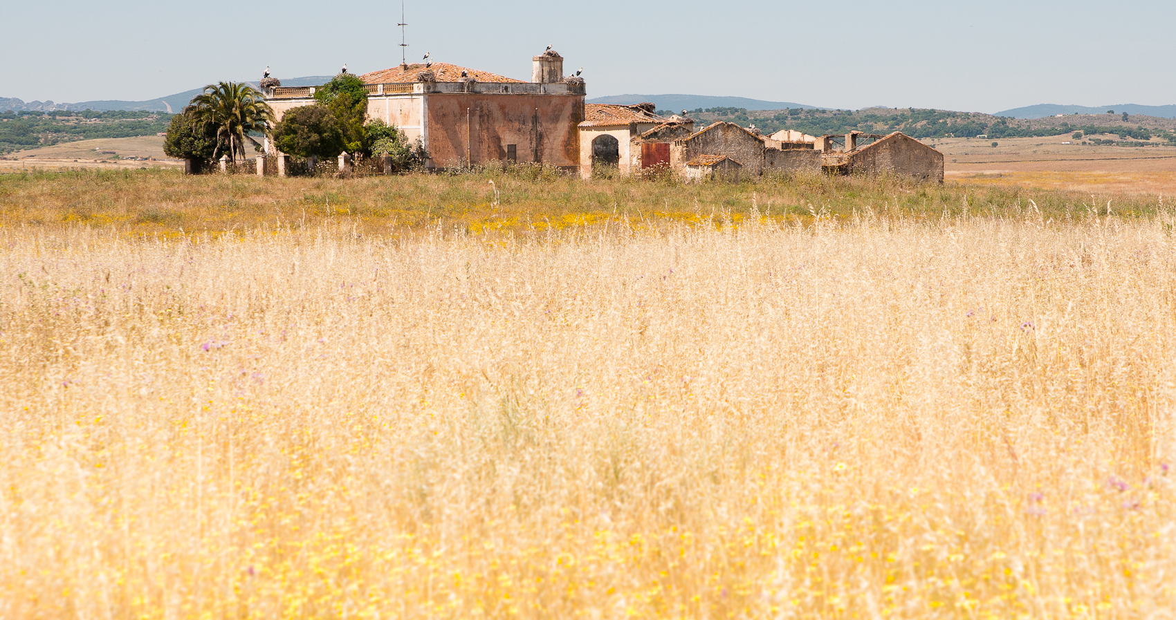 San Vicente de Alcántara