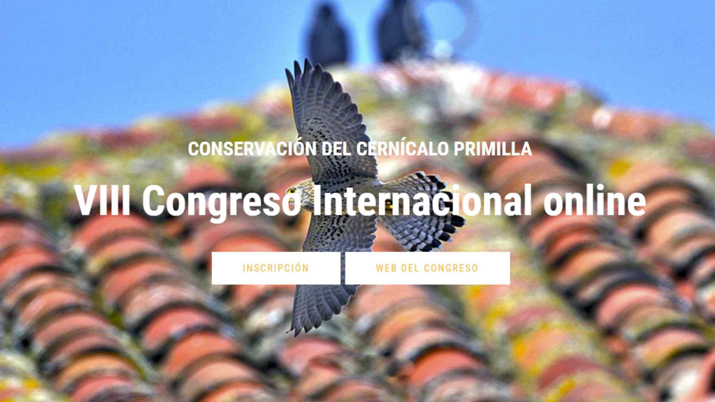 Congreso primilla