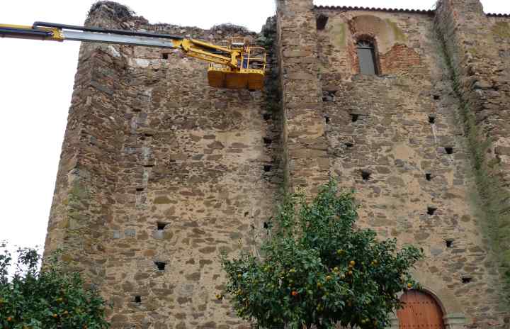 ADECUACIÓN DEL SUSTRATO DE NIDIFICACIÓN EN EDIFICIOS DE VALOR PATRIMONIAL EN ZEPA