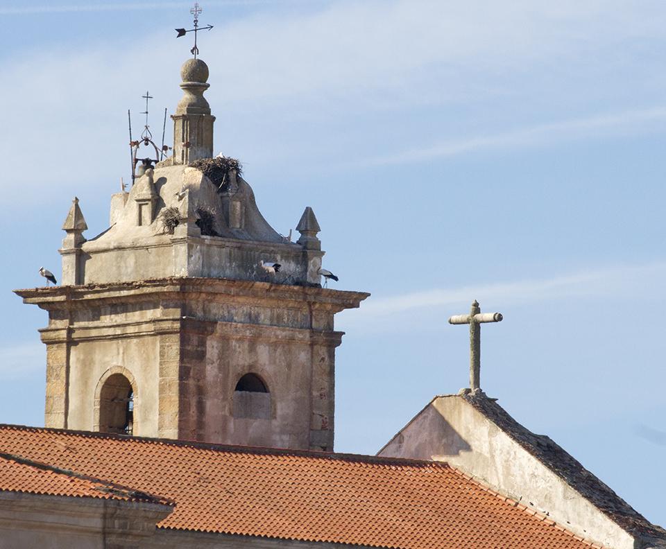La sombra de la torre, sobre la cubierta, marca el rincón donde se ha situado el módulo de liberación.