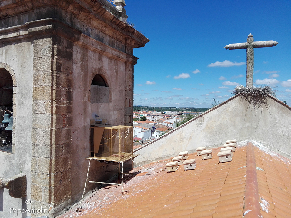 Otra perspectiva desde la cumbre de la cubierta del módulo y nidos situados sobre la cubierta.