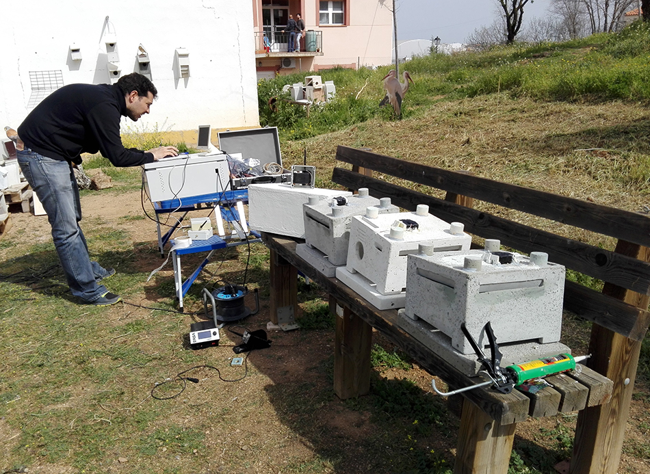 Instalación de nidales - ZEPAURBAN
