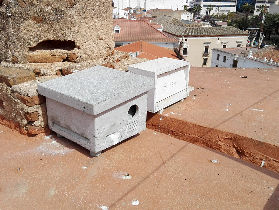 Instalación de nidales - ZEPAURBAN