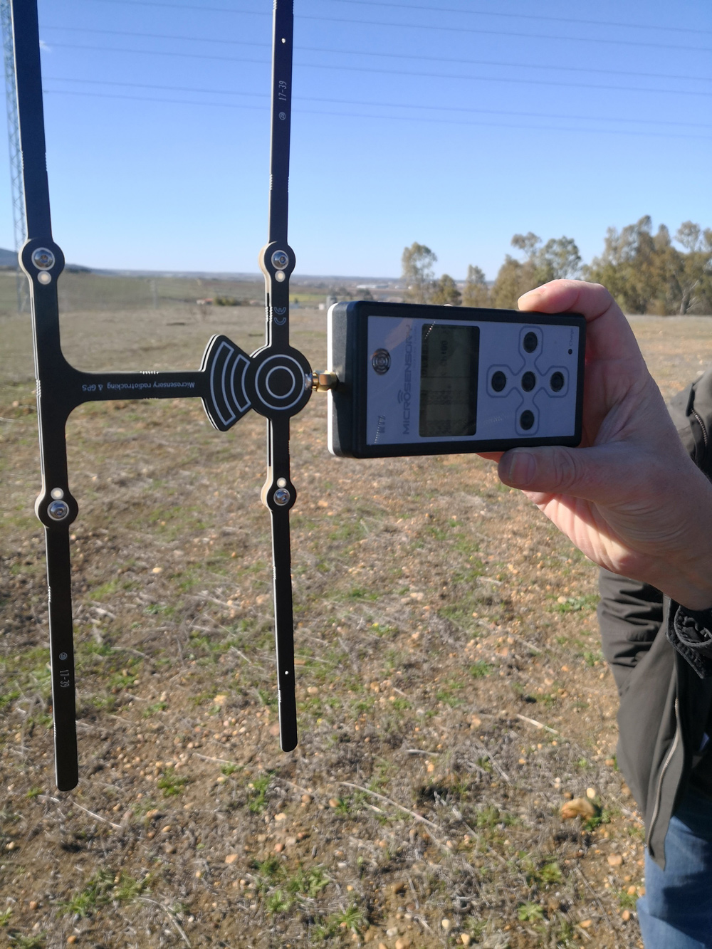 Pruebas de campo y validación de los nuevos emisores GPS para el cernícalo primilla 